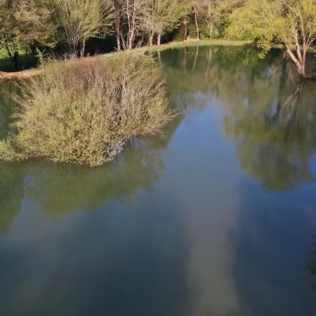 Tilleul Mas Du Ponteil * Sergeac
